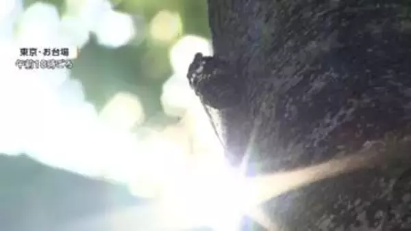 都内の熱中症搬送者は男女176人　2日連続で最多更新　90代男性が重篤　埼玉は178人うち12人重症　栃木では85歳男性死亡　熱中症か