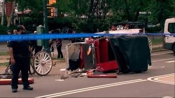 セントラルパークで馬車暴走　18歳男性死亡　御者が不在中に事故　運行停止措置と廃止論強まる