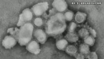 インフル感染者数2週連続減少も過去10年で“最多”...41の県などで警報基準超え　「サブクレードK」はワクチンで重症化予防に期待