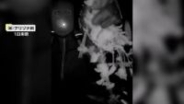 「生きていると信じる…」人気司会者の84歳母親が誘拐され身代金要求“9億円”超　自宅の防犯カメラに不審人物　アメリカ・アリゾナ州