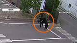 「福島で人を次々襲ったクマ…工場に居座るも麻酔銃が効かず逃走　専門家「捕獲は長期戦も」　北海道で400kg級巨大ヒグマ出没」の画像1