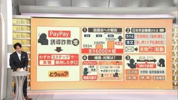 PayPay悪用詐欺が急増中　送金促す「日本年金機構」かたるメール　本物のアプリ起動　決済したらキャンセル不可