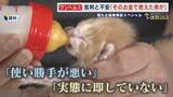 「｢そのお金で救えた命が…｣ 揺れる現場の思い   蔵内元議長が旗振り役の『ワンヘルス』事業   凍結事業は1億3千万円 行革審始まる  【福岡発】」の画像1