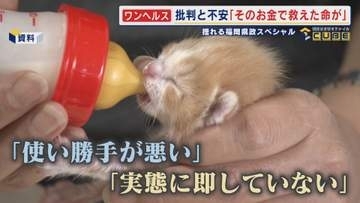 ｢そのお金で救えた命が…｣ 揺れる現場の思い   蔵内元議長が旗振り役の『ワンヘルス』事業   凍結事業は1億3千万円 行革審始まる  【福岡発】