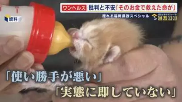 ｢そのお金で救えた命が…｣ 揺れる現場の思い   蔵内元議長が旗振り役の『ワンヘルス』事業   凍結事業は1億3千万円 行革審始まる  【福岡発】