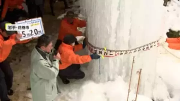 祝日に久々の雨…早咲きの河津桜は人出少なく「ゆっくり見られる」　岩手や高知は伝統のお祭りに大熱狂　週末は気温急上昇　日曜都心は17℃か
