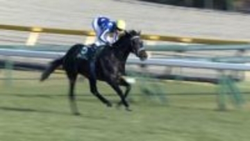 【京都記念・GⅡ＆共同通信杯・GⅢ】　WIN5発売金額が史上最高62億円超！　引退間近の藤岡佑介騎手が復活Vに導く＆リアライズシリウス重賞2勝目