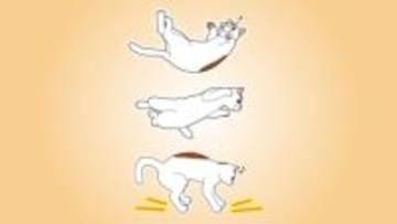 逆さに落ちても着地できるのはなぜ？宇宙飛行士も真似る体勢の立て直し方。何度も落とされてわかった猫の反射能力