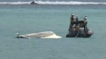 辺野古沖で船転覆　女子高校生と船長死亡　波による転覆か