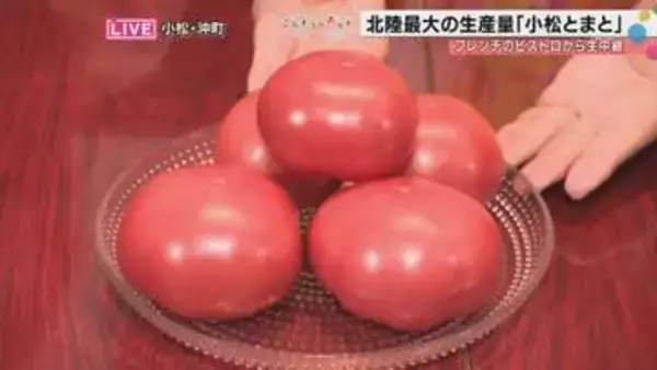 彦摩呂さんが絶賛した「口の中がベルサイユ宮殿」！？北陸最大の産地・小松とまとが最高すぎる理由