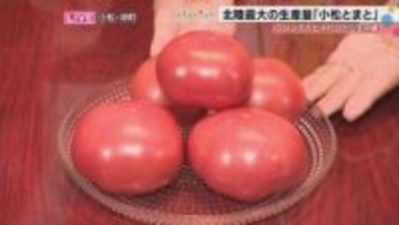 彦摩呂さんが絶賛した「口の中がベルサイユ宮殿」！？北陸最大の産地・小松とまとが最高すぎる理由