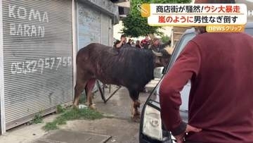 「倒したぞ！」商店街で牛が大暴走…男性に突進タックルで騒然　住宅街では嵐で屋根“吹っ飛び”危うく衝突も　トルコ
