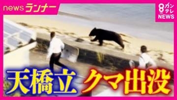 観光協会も「想定外」　日本三景・天橋立に“クマ”出没　海を泳ぎ砂浜を走り約6時間後に捕獲　“外国人”へのクマ周知も課題か