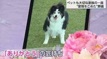 「人もペットもかける愛情は同じ」老舗葬儀社がペット訪問火葬を開始　大切な「見送り」を支える