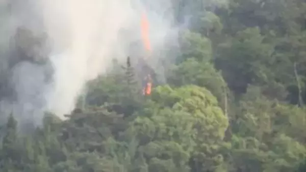 【速報】広島で山林火災　廃材を燃やしていた火が広がったか　消防車10台以上で消火活動続く　現時点でけが人情報なし