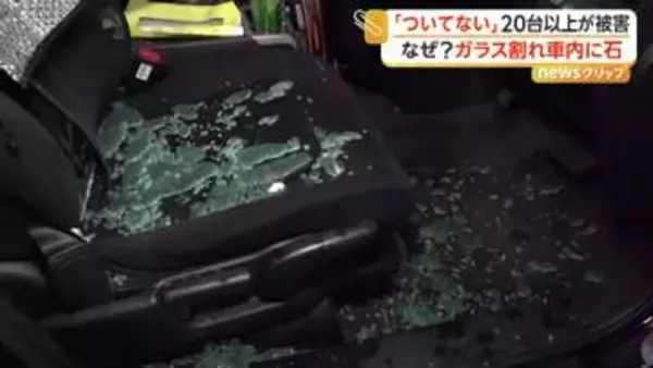 「ついていない」上信越道・新井PAで車20台以上に被害　強風で飛んだ小石が窓ガラスを直撃か　新潟・妙高市