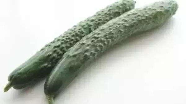 大量のきゅうりは冷凍がオススメ。一瞬でもずく酢や浅漬けが完成！おいしく保存するコツと活用レシピを紹介