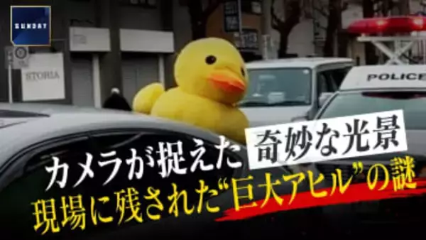 事故現場に残された“巨大なアヒル”の謎　時速120キロで電柱にぶつかり対向車と衝突　奇妙な光景の理由は「二次被害の防止」か