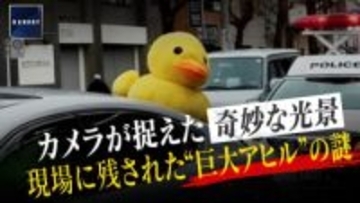 事故現場に残された“巨大なアヒル”の謎　時速120キロで電柱にぶつかり対向車と衝突　奇妙な光景の理由は「二次被害の防止」か