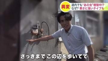 「すでに50件近くの駆除依頼が来ています」北海道で増える”あの虫”相次ぐ駆除の依頼は過去5年で倍以上に_屋内での繁殖だけでなく“屋外からの侵入”にも注意…対策のポイントは？