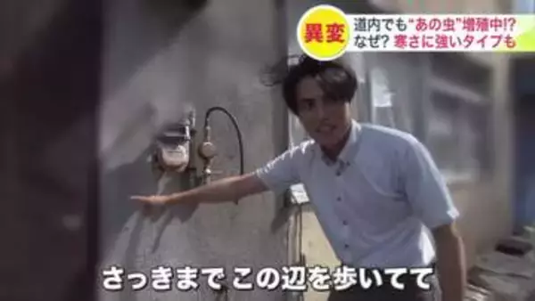 「すでに50件近くの駆除依頼が来ています」北海道で増える“あの虫”相次ぐ駆除の依頼は過去5年で倍以上に_屋内での繁殖だけでなく“屋外からの侵入”にも注意…対策のポイントは？