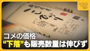 【コメ】年末から約1000円安く…価格下落で5kg『3373円』に 客から歓迎の声も販売数量は伸びず「もう少し安くなるのではと…」新潟
