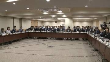 年金3号縮小へ見直し議論開始　「将来的な制度廃止に向けた議論期待」の一方で「病気等で働けない人に配慮必要」の声も