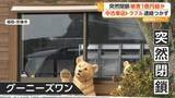 「「連絡つかない」代金支払うも納車されず　中古車販売店が突然閉鎖し被害者殺到　被害総額1億円超か　福岡・宗像市」の画像1