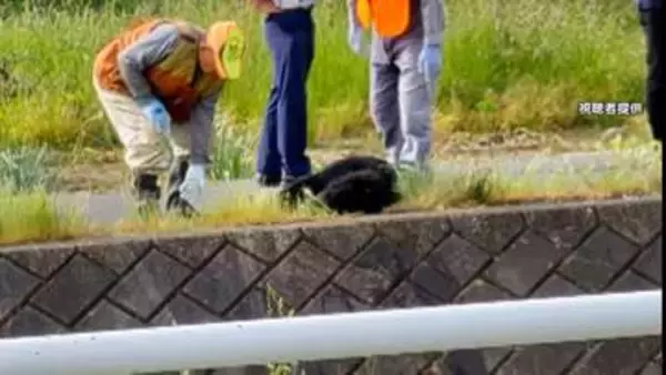東京都内でクマによる死者か　“上半身のない”性別不明の遺体発見　岩手でも男性遺体…クマ被害か　専門家「繁殖期オスは気性荒い」