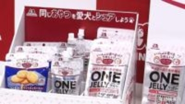 愛犬と一緒に“おやつ”食べながらバレーボールSVリーグ観戦プロジェクトも！森永製菓が人と犬とスポーツの新時代を提案