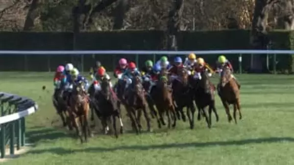 【弥生賞ディープインパクト記念・GⅡ】 皐月賞への最重要トライアル！偉大な祖父の背中を追うアドマイヤクワッズらが参戦　パントルナイーフは回避