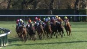 【弥生賞ディープインパクト記念・GⅡ】 皐月賞への最重要トライアル！偉大な祖父の背中を追うアドマイヤクワッズらが参戦　パントルナイーフは回避