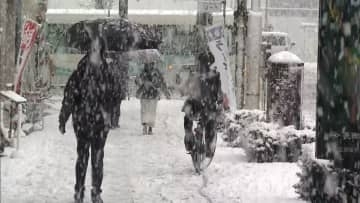 「雪がまた降るとは」真冬に逆戻り　宇都宮市で積雪12cm　桜にも雪が積もり…東京23区でも降雪