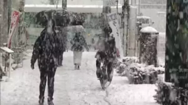 「雪がまた降るとは」真冬に逆戻り　宇都宮市で積雪12cm　桜にも雪が積もり…東京23区でも降雪