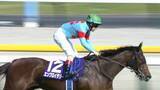 「【ヴィクトリアマイル・G1】2冠牝馬の貫禄！C.ルメール騎手と共にエンブロイダリーが最強女王に！“波乱多き”春の女王決定戦は15年ぶりの堅い決着に！」の画像1