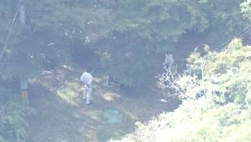 ランニング中の70代男性をクマが襲撃　右頬引っかかれ軽傷　岐阜・池田町　県内の目撃情報は今年度525件