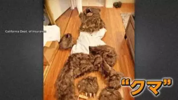 車上荒らしで車内に“クマ”のような爪痕　しかし“指6本”　保険金約2200万円請求のため着ぐるみで自作自演　アメリカ