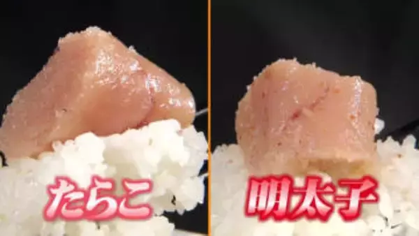 実は「たらこ」の方が良い原料！？「明太子」との“違い”を徹底調査　語源は一緒…でも漬け込む調味料と“長さ”に秘密が