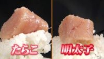 実は「たらこ」の方が良い原料！？「明太子」との“違い”を徹底調査　語源は一緒…でも漬け込む調味料と“長さ”に秘密が