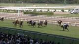 「【2歳馬最初のマイル重賞 新潟2歳S・G3】3年連続で新潟2歳Sへ　津村明秀騎手が連覇に挑む」の画像1