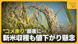 「【コメ余り】新米収穫も在庫量“過去最大”で値下がり懸念「生産者・消費者が納得できる価格帯に」　資材も高騰する中“仮渡金”は去年を大きく下回る見通し」の画像1