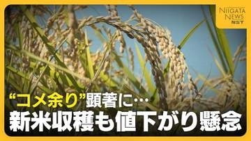 【コメ余り】新米収穫も在庫量“過去最大”で値下がり懸念「生産者・消費者が納得できる価格帯に」　資材も高騰する中“仮渡金”は去年を大きく下回る見通し