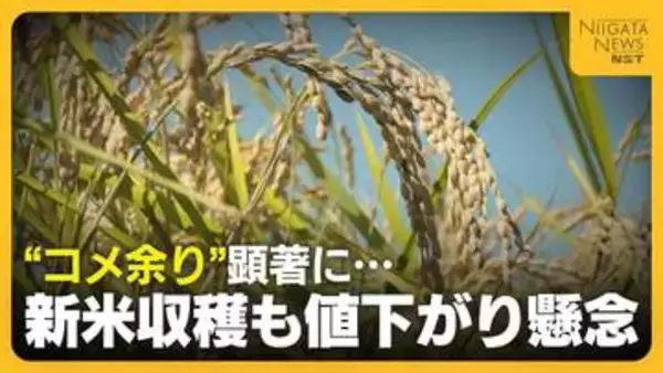 【コメ余り】新米収穫も在庫量“過去最大”で値下がり懸念「生産者・消費者が納得できる価格帯に」　資材も高騰する中“仮渡金”は去年を大きく下回る見通し
