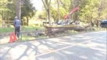 東京・世田谷の砧公園で4回目の倒木　高さ20メートルのコナラなど3本「車道通行できない」けが人なし　強風影響か