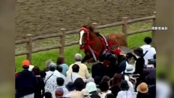 「相馬の馬追」で放馬　スタッフなどに衝突し4人ケガ　逃げた馬は確保　福島