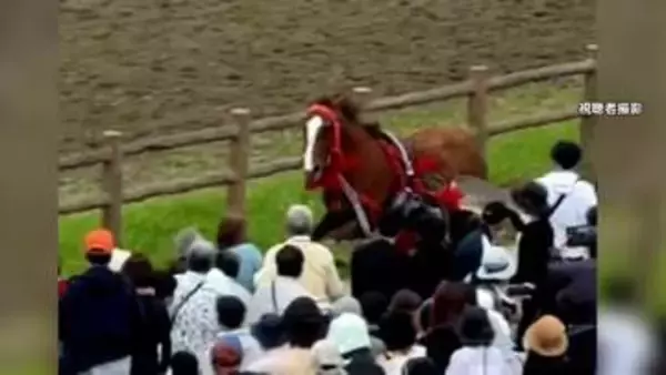 「相馬野馬追」で放馬　スタッフなどに衝突し4人ケガ　逃げた馬は確保　福島