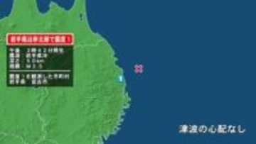 岩手県で最大震度1の地震　岩手県・宮古市