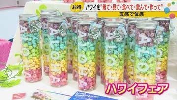 「ふわもちでカスタードがぎっちり」金沢のハワイフェアでマラサダに長蛇の列　円安でも南国気分