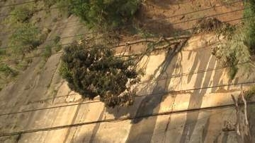 【中継】千葉県の観光地・養老渓谷でも台風被害　土砂崩れで道路寸断、建物がつぶれた土産屋も