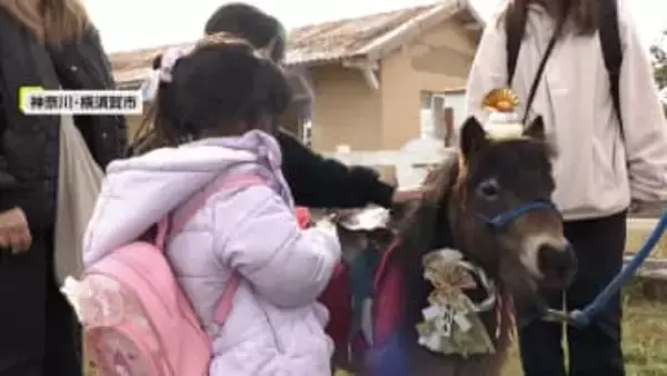 “師走”最初の週末は厳しい寒さ…神奈川では来年の干支“午”と一緒の撮影会　愛媛では白クマ「ピース」26歳の誕生会「一日でも長く健康に」